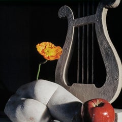 Sculpture Fragment and Lyre with Poppy and Apple, 1980‘s