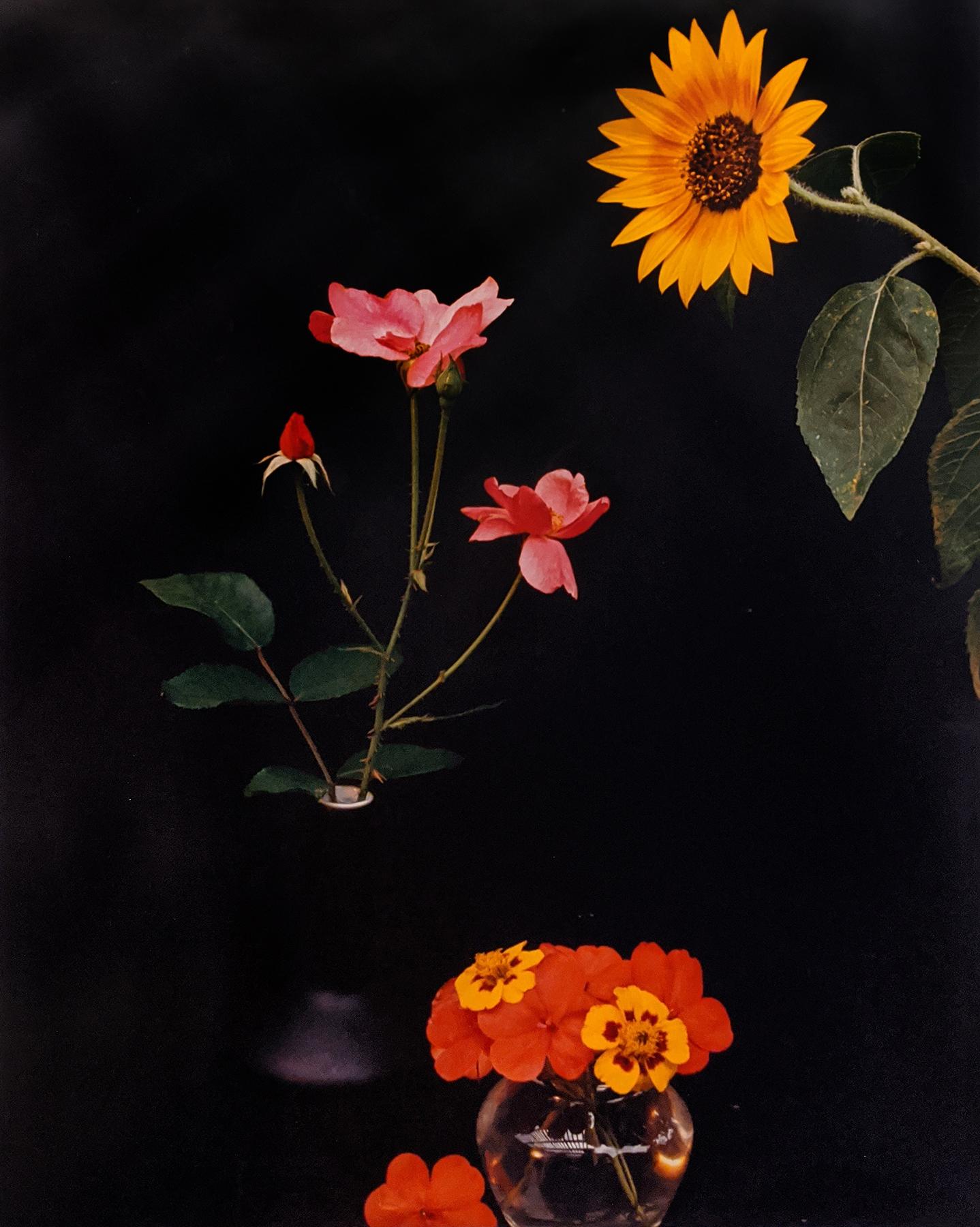 Horst P. Horst Color Photograph - Sunflower, Roses, and Poppies, c. 1985