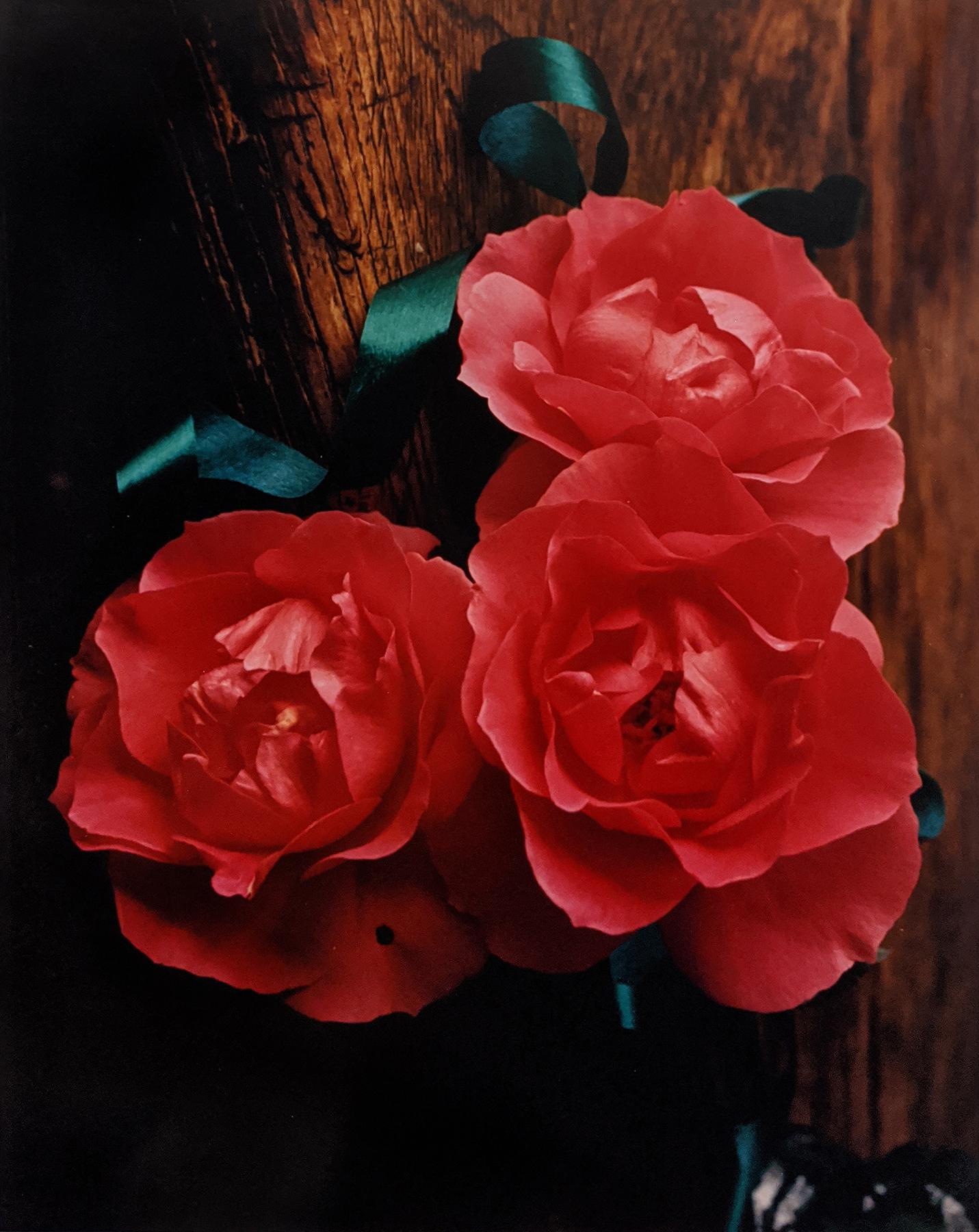 Horst P. Horst Color Photograph - Three Roses, c. 1985