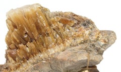 Houndstooth Calcite Crystal in Matrix on an 18th Century Italian Wood Base