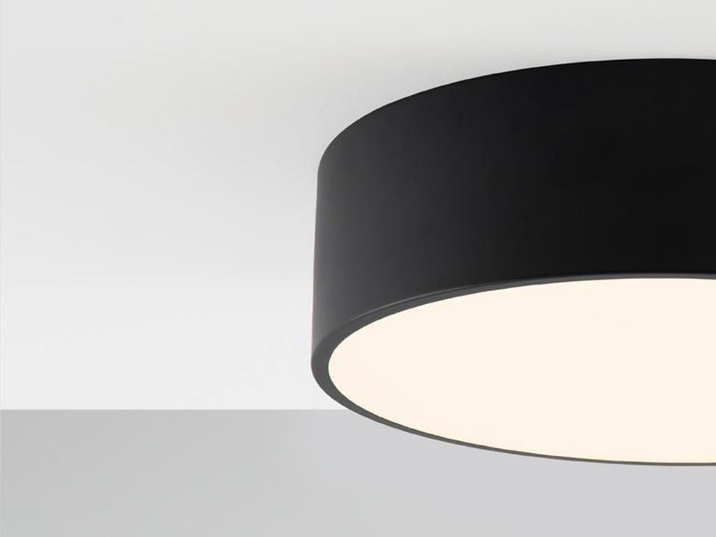 ceiling light diffuser