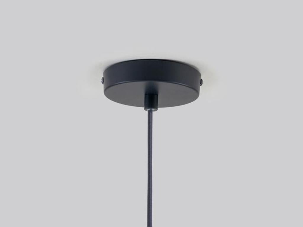 Scandinavian Modern Houseof Charcoal Grey Ring Ceiling Light with Metal and Glass Shade