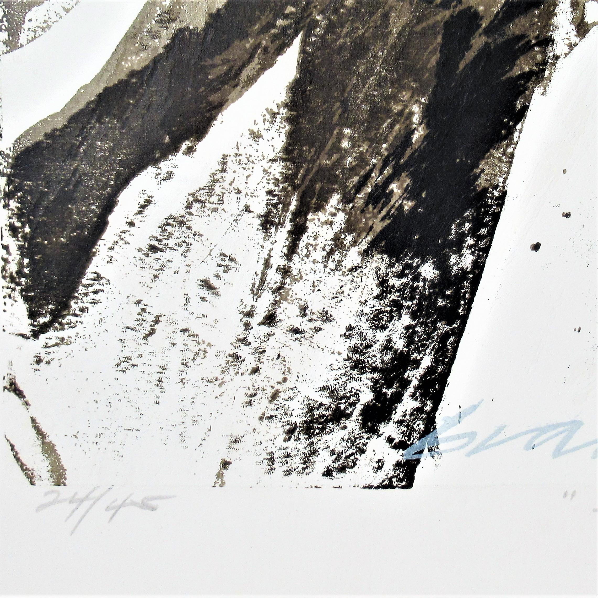 SIerra Country #2 - Gray Abstract Print by Howard Bradford