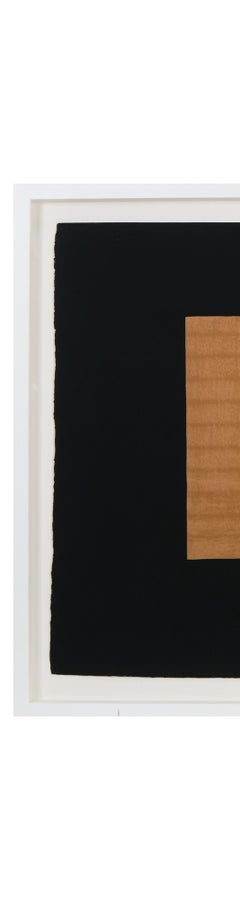 Howard Hodgkin, Indian View D.