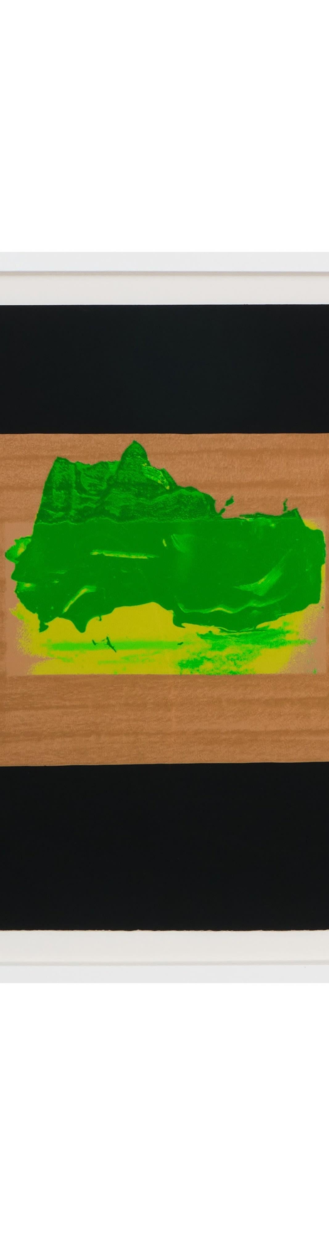 Howard Hodgkin, Indian View D. In condizioni ottime in vendita a London, GB