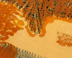 Howard Hodgkin - Limited Edition Print ' As You'd been Wont '