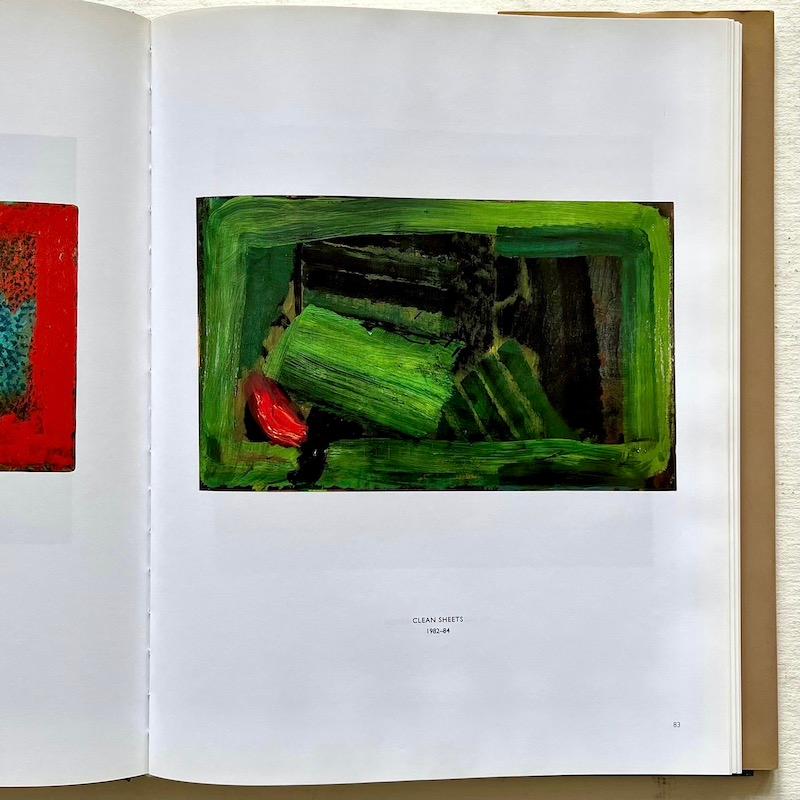 Howard Hodgkin Paintings - Michael Auping, Susan Sontag - 1st Edition, T&H, 1995 In Good Condition In London, GB