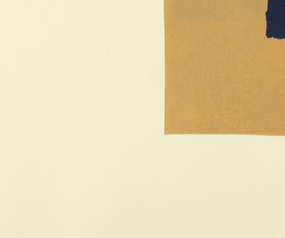 A, Aus indianischer Sicht (Heenk 11) - von Howard Hodgkin, Brown + Blue Screenprint im Angebot 6