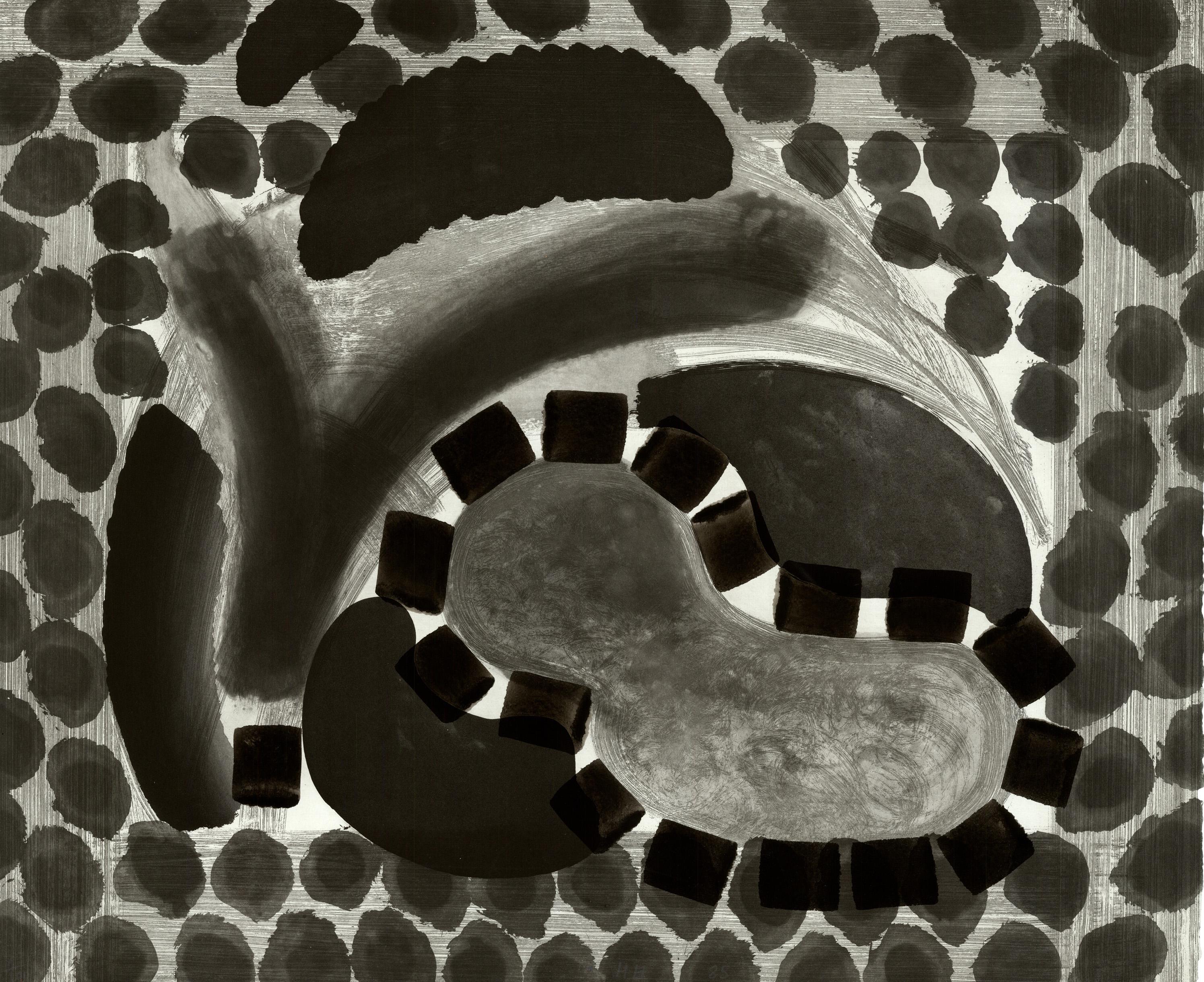 La piscina de David de noche - Grabado, Arte abstracto, Arte contemporáneo, Aguafuerte, Hodgkin - Abstract Print Negro de Howard Hodgkin
