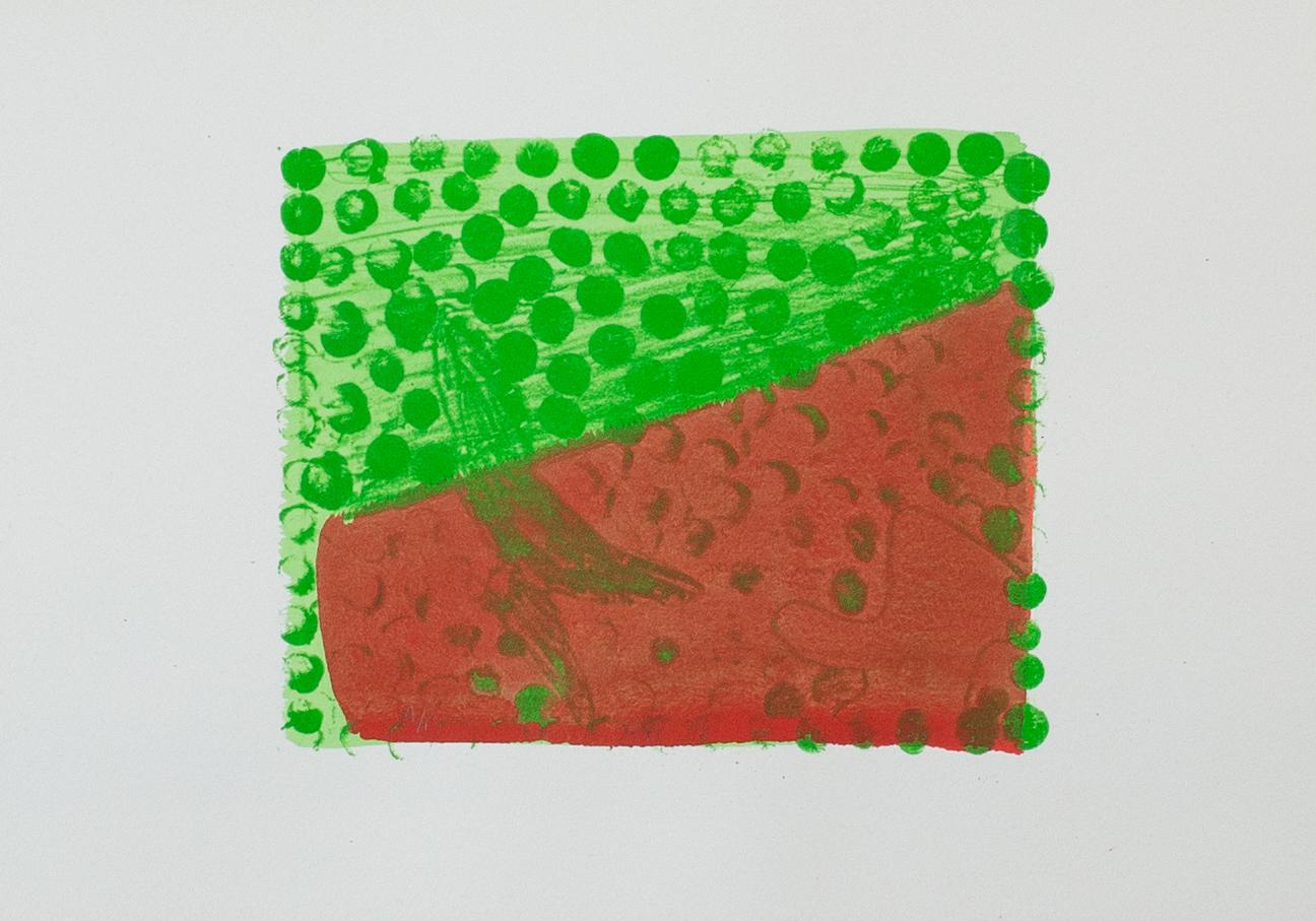 Abstract Print Howard Hodgkin - Chateau IV vert