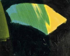 Night Palm-- Intaglio print, Hand-coloured, Palm Tree by Howard Hodgkin