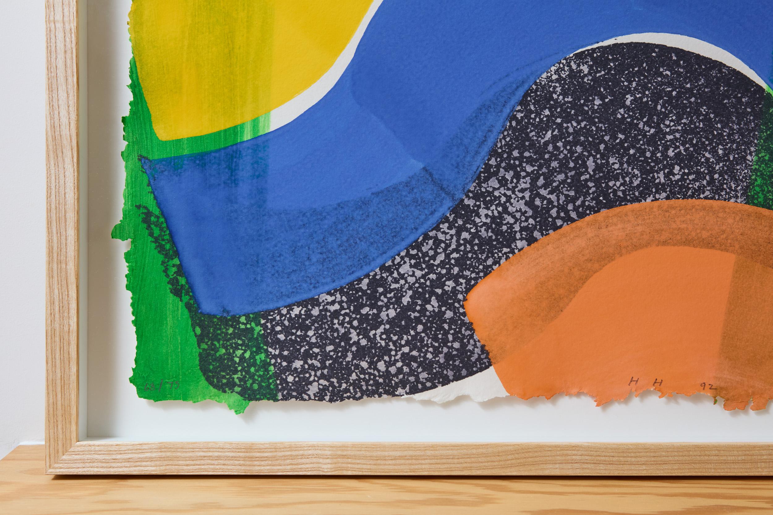Sacar más banderas -- Aguafuerte, Aguatinta, Grabado, Arte abstracto de Hodgkin - Print de Howard Hodgkin