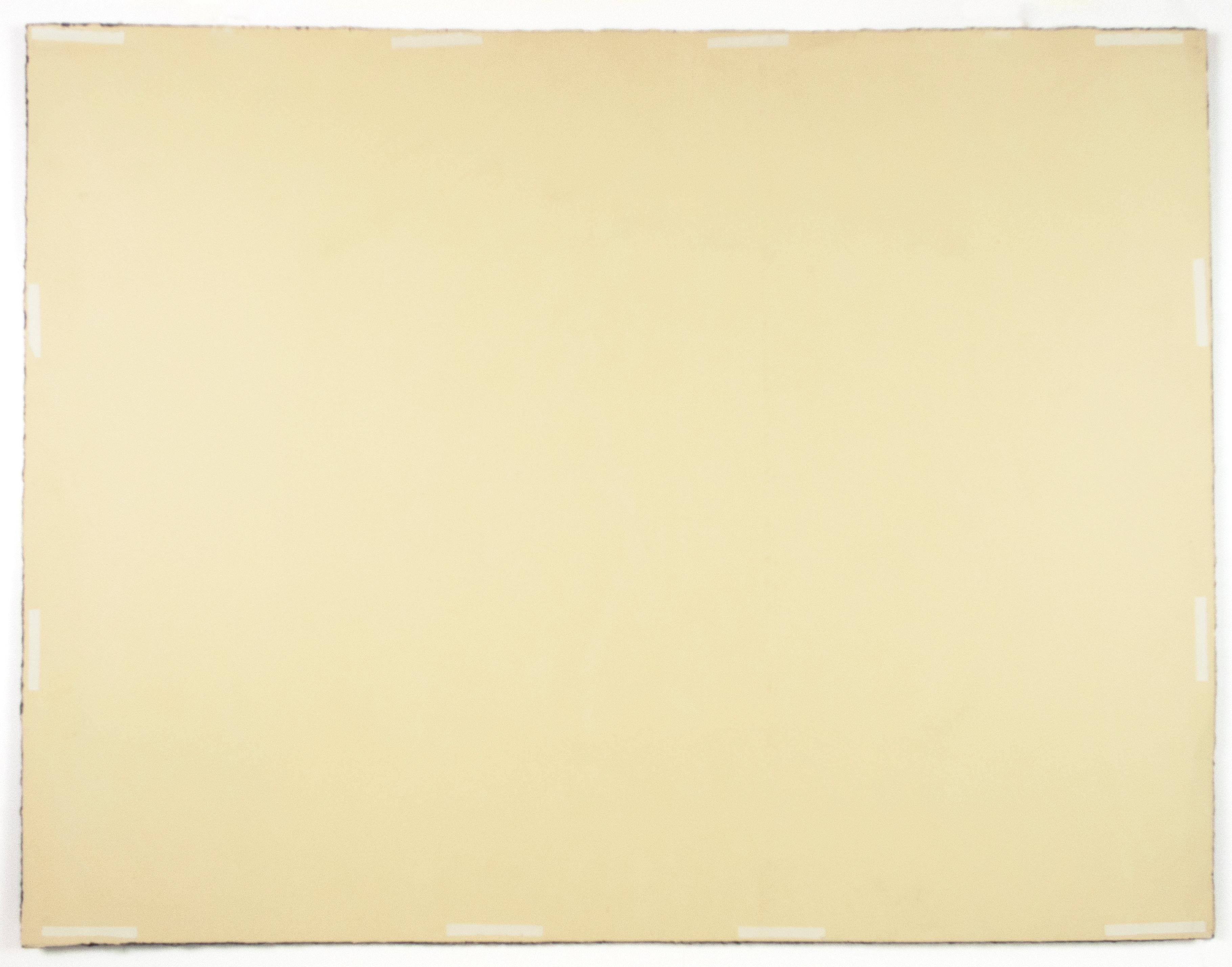 Sable Howard Hodgkin peinture abstraite sépia noir et blanc ton terre imprimé en vente 5