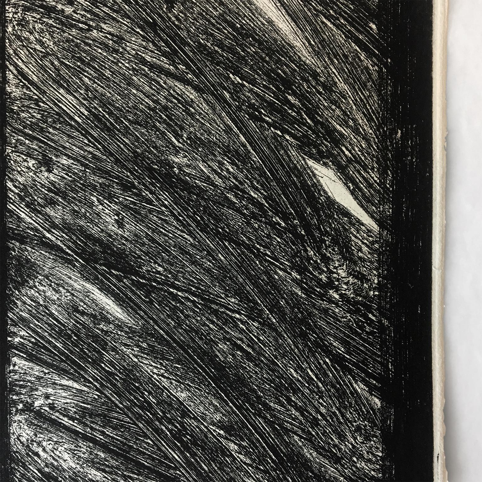 Pensando en voz alta en el Museo de Arte Moderno, Hodgkin, abstracto en blanco y negro - Print Abstracto de Howard Hodgkin