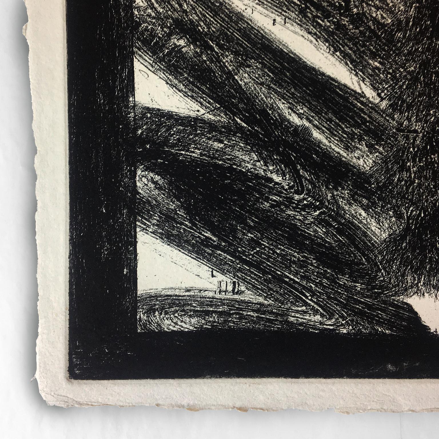 Whiting Aloud nel Museo d'Arte Moderna, Hodgkin, astratto in bianco e nero in vendita 1