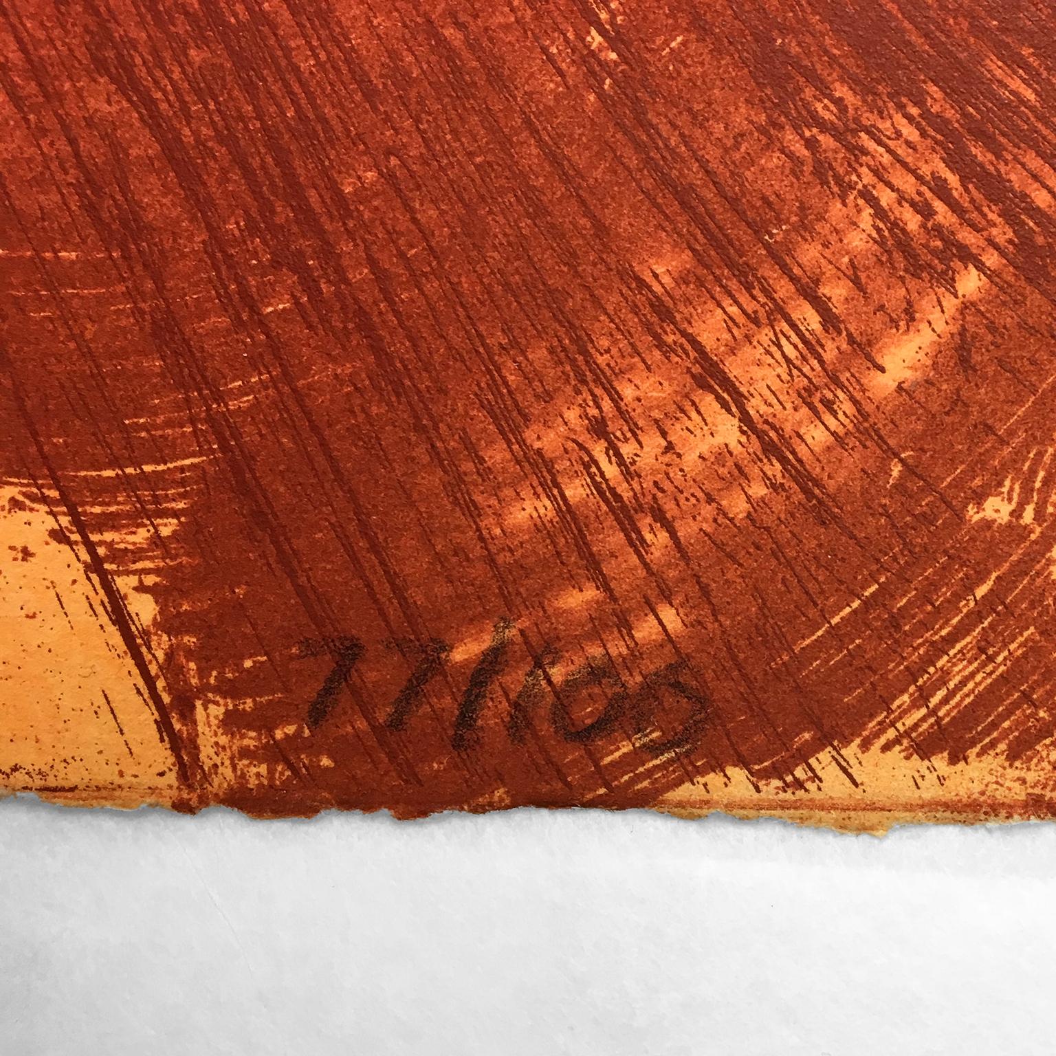 Esos... Plantas Howard Hodgkin rojo naranja verde aguafuerte acuarela aguada en venta 2