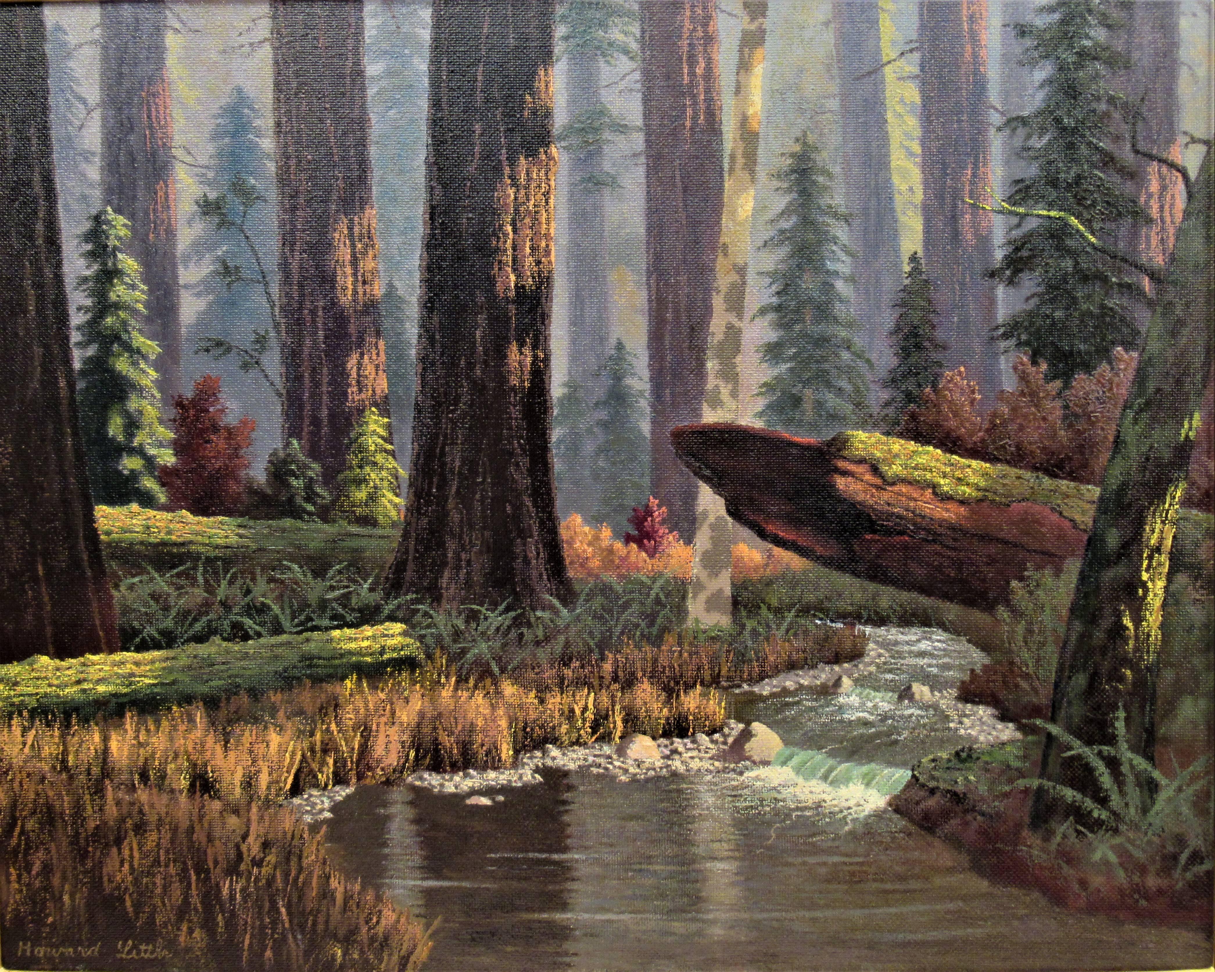 Redwood Forest, California - Painting by Howard John Little