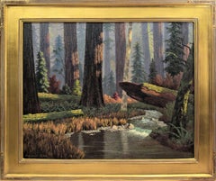 Vintage Redwood Forest, California