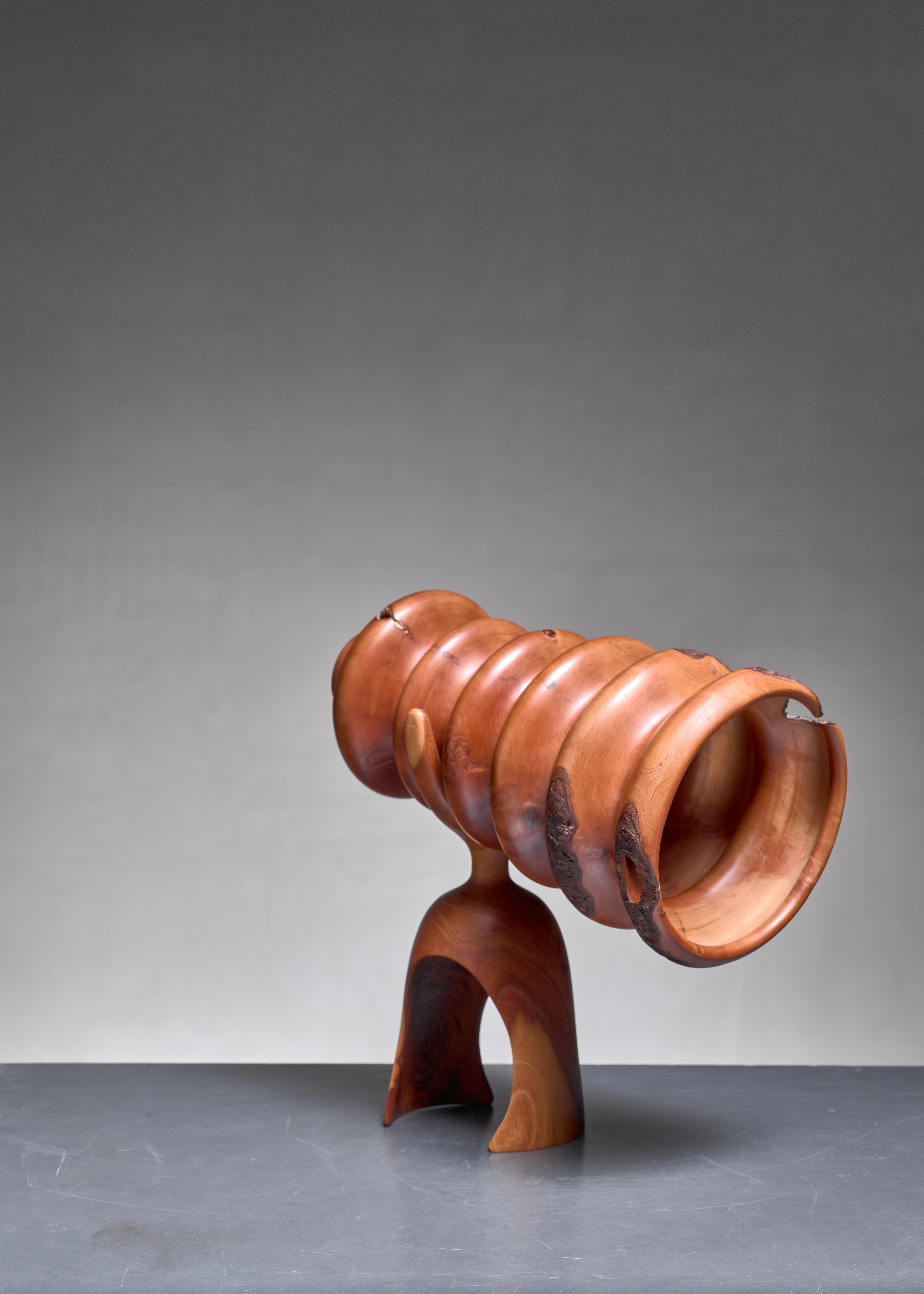 Pearwood Howard Lewin pear burl wooden telescope sculpture For Sale