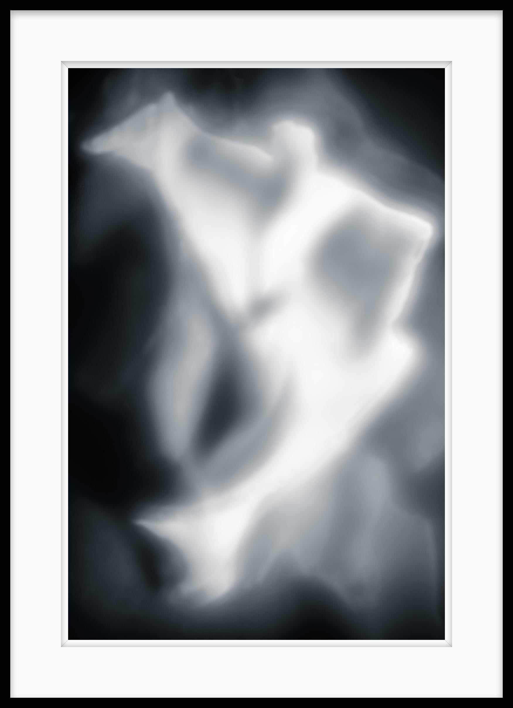 Limited Edition Abstract Black and White Photograph - Moments of Evolution #21

Moments of Evolution explores the transformations of organic forms as they evolve into an endless array of ethereal configurations.

The subjects float, shifting scale,
