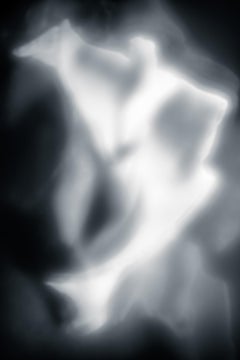 Abstrakte Schwarz-Weiß-Fotografie in limitierter Auflage – Momente der Evolution #21