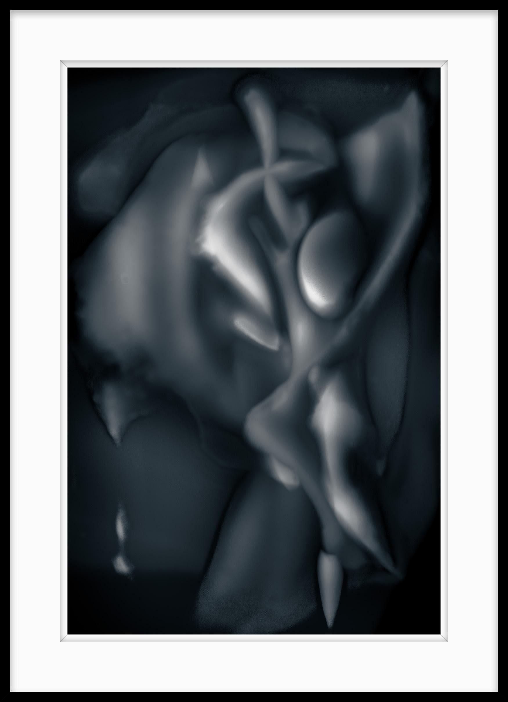 This is Untitled #25 from the Moments of Evolution series.

Moments of Evolution explores the transformations of organic forms as they evolve into an endless array of ethereal configurations.

The subjects float, shifting scale, in an unfamiliar