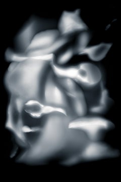 Abstract Black and White Photograph - Moments of Evolution #30