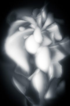 Abstract Black and White Photograph - Moments of Evolution #32 30 x 40