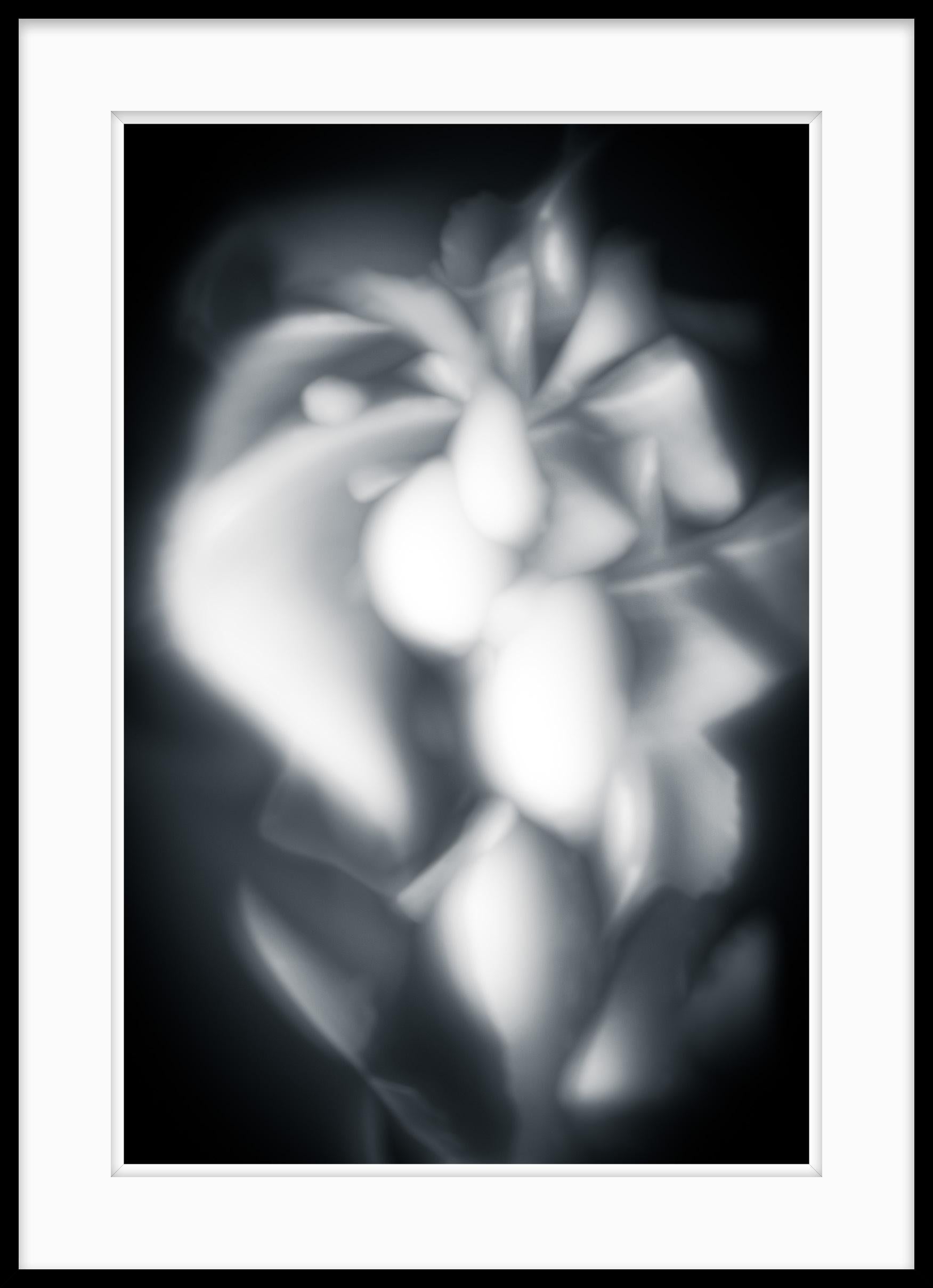 Abstract Black and White Photograph - Moments of Evolution #32 For Sale 1