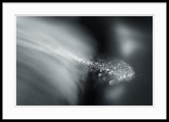 Abstract Black and White Photograph - Nature of Particles #16