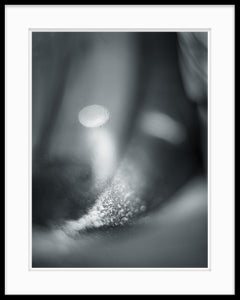 Abstract Black and White Photograph - Nature of Particles #18