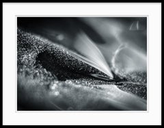 Abstract Black and White Photograph - Nature of Particles #33