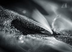 Abstract Black and White Photograph - Nature of Particles #33