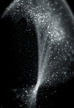 Abstract Black and White Photograph - Nature of Particles #40 20 x 24