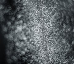 Abstract Black and White Photograph - Nature of Particles #8
