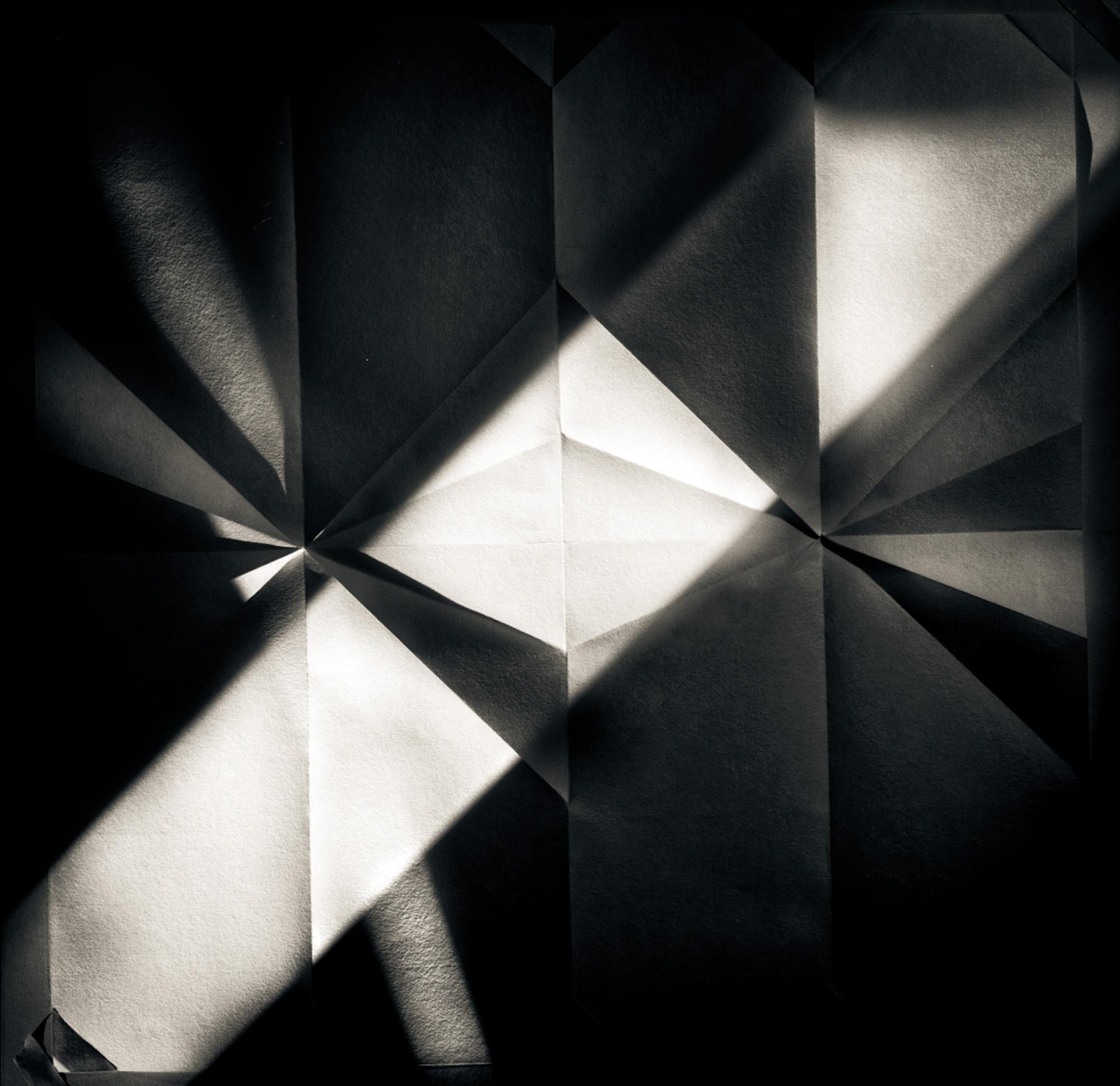 Howard Lewis Abstract Photograph –  Abstrakte abstrakte Fotografie Schwarz-Weiß - Origami-Blatt #41