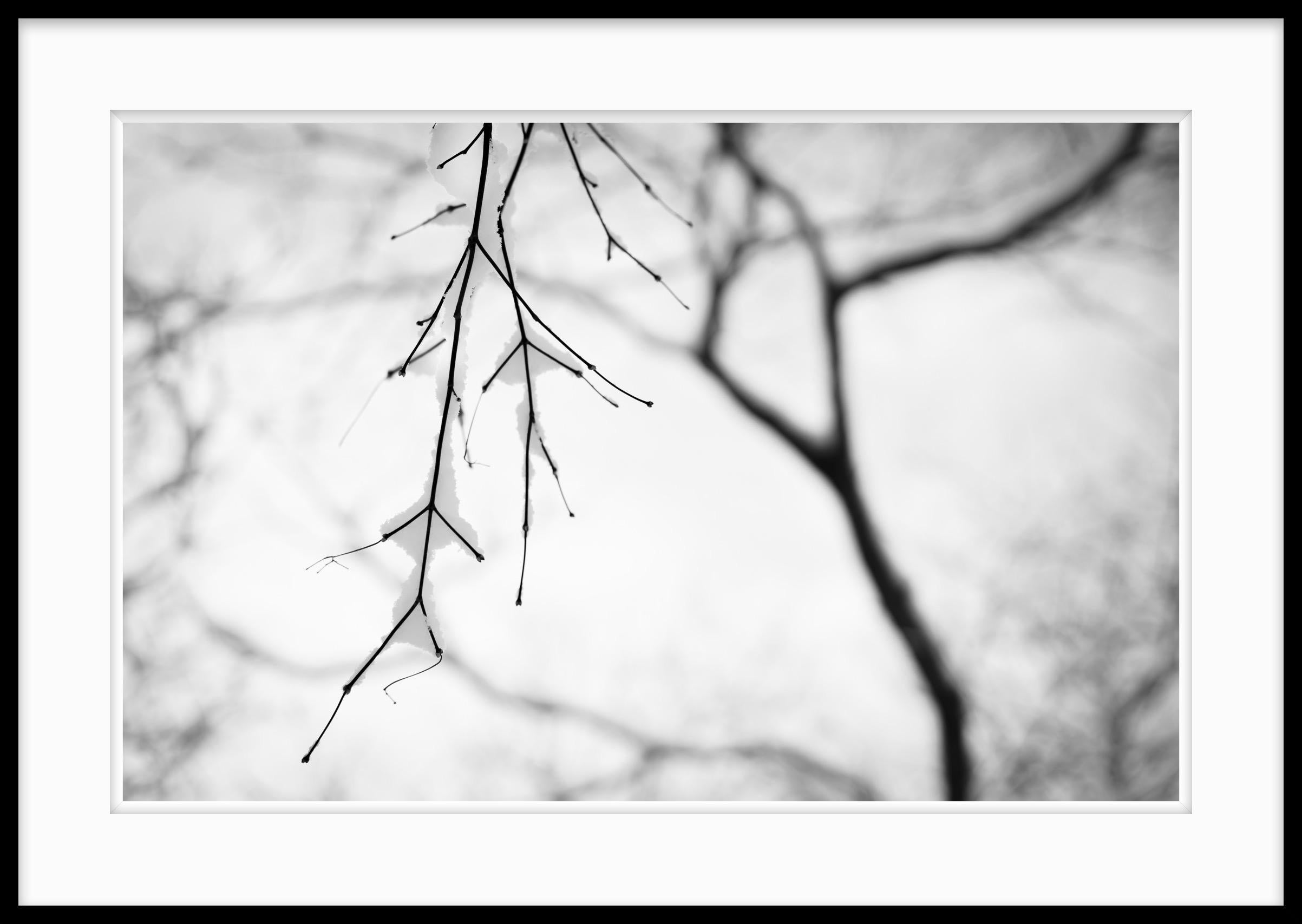 Fotografía en blanco y negro de edición limitada 2021 