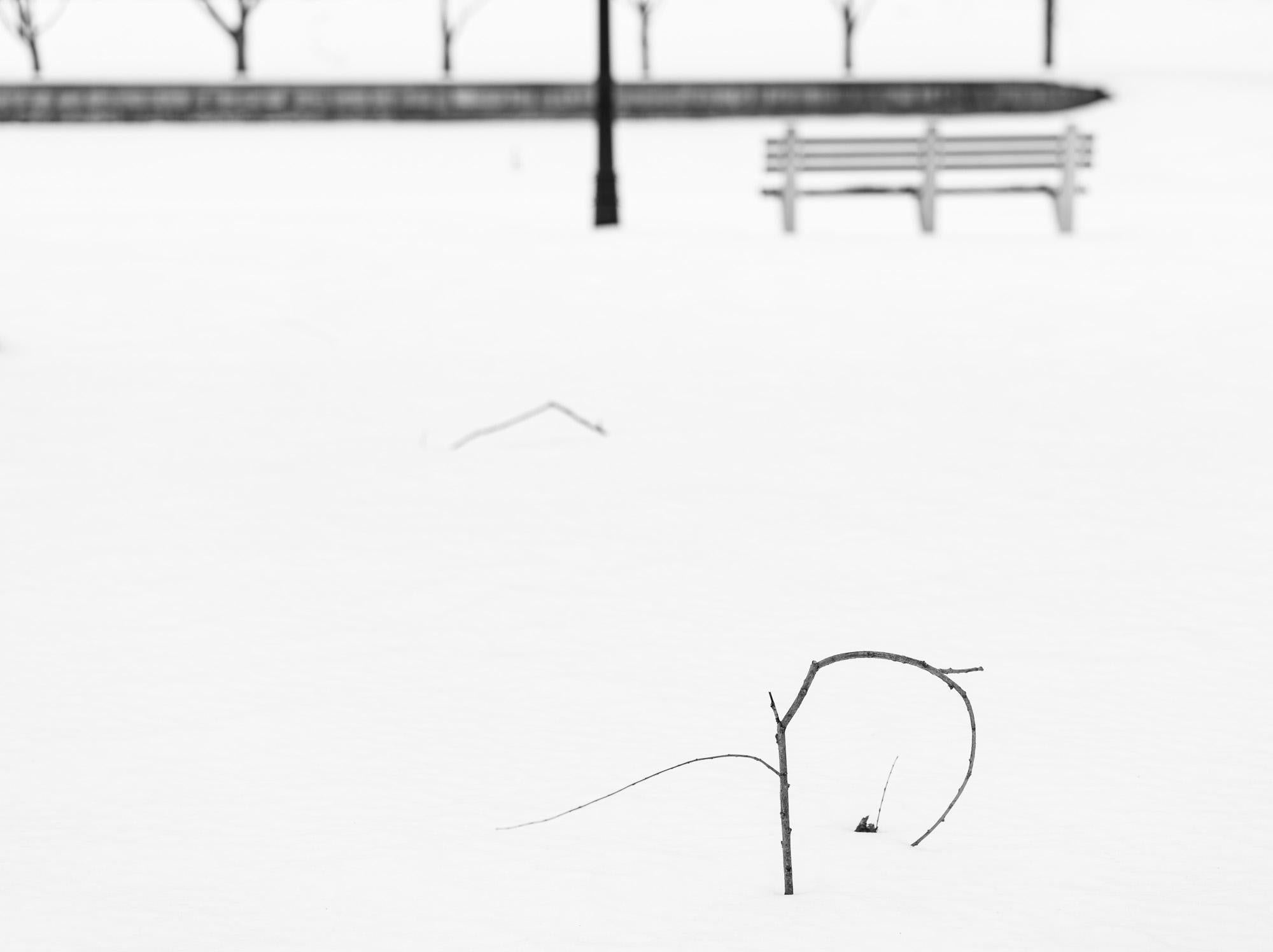 Black and White Photograph Howard Lewis - Photographie en noir et blanc à tirage limité 2021 « Winter Lines »