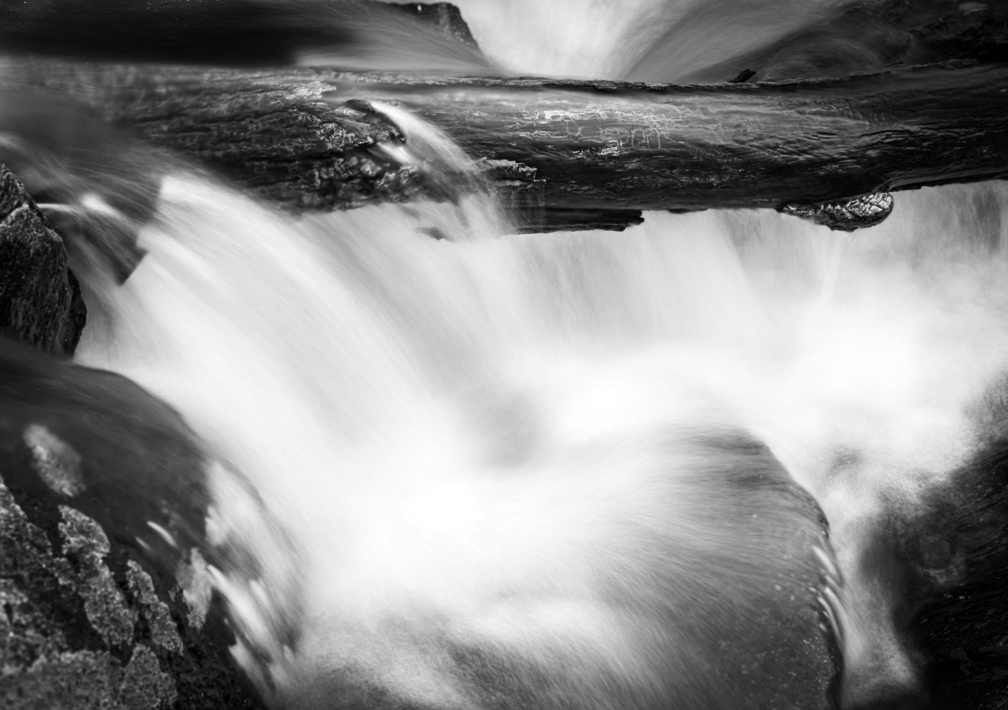 Howard Lewis Black and White Photograph - Black and White Nature Photograph - Water Log 