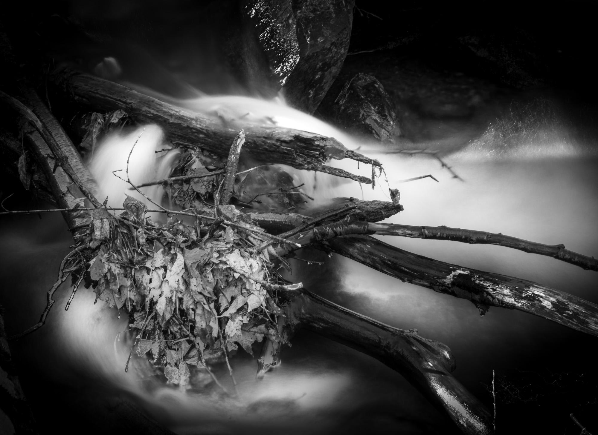 Howard Lewis Black and White Photograph - Black and White Nature Photograph - Water, Stream and Leaves