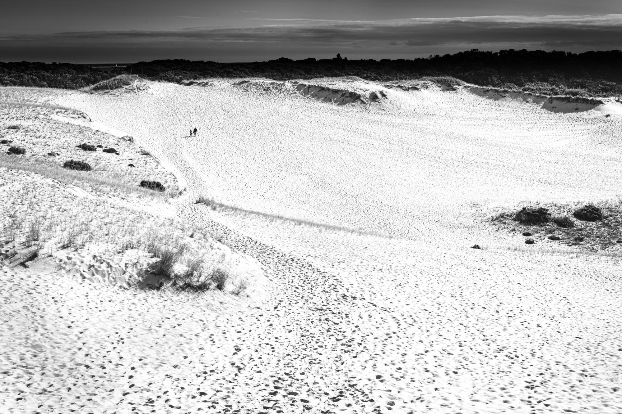 Limited edition black and white photograph on archival pigment print. Photographed on Cape Cod, MA in the Provincelands. These famous dunes can be a lot larger and hotter than they look but a great hike.

About:
Lewis’ artistic practice often