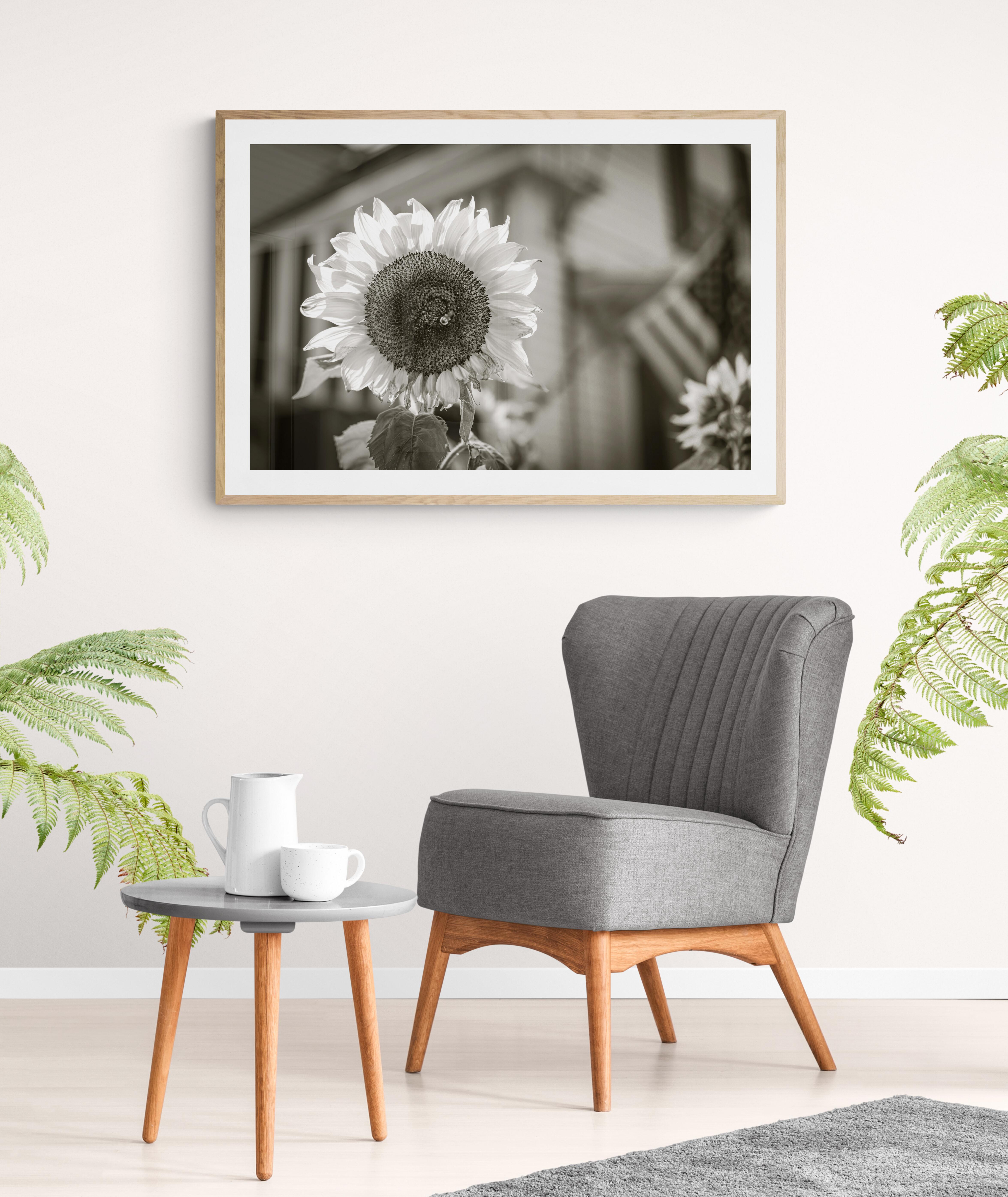  Limited Edition Black and White Photograph - Botanical, 
