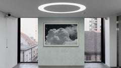 Limited Edition Black and White Photograph - " Careful Flight "