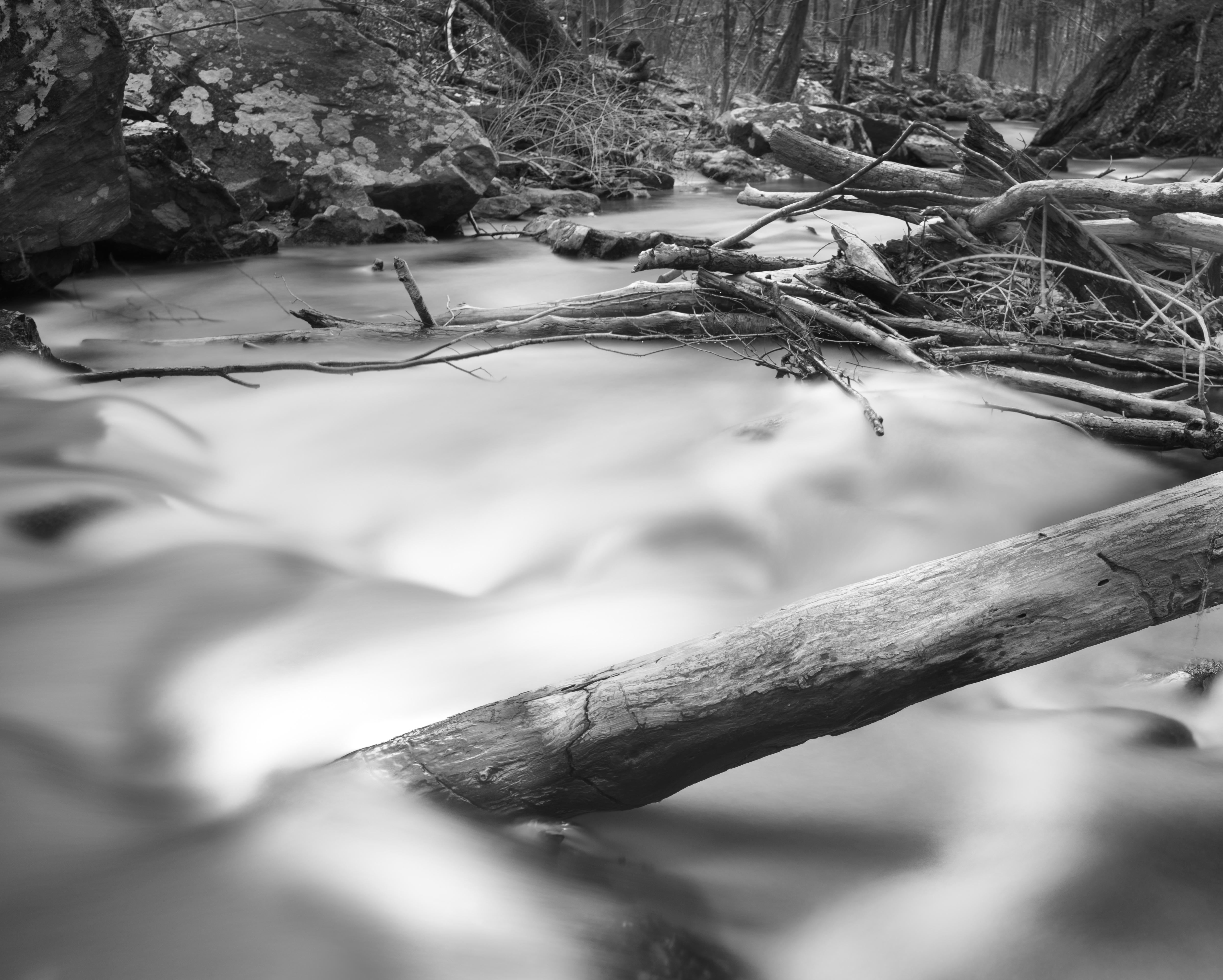 Howard Lewis Landscape Photograph -  Limited Edition Black and White Photograph - "Fallen Tree" 17 x 22