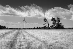  Photographie en édition limitée en noir et blanc - « High Winds », 2022 20 x 24