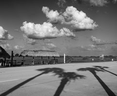  Schwarz-Weiß-Fotografie in limitierter Auflage – „ Highway Palms“ 17 x 22
