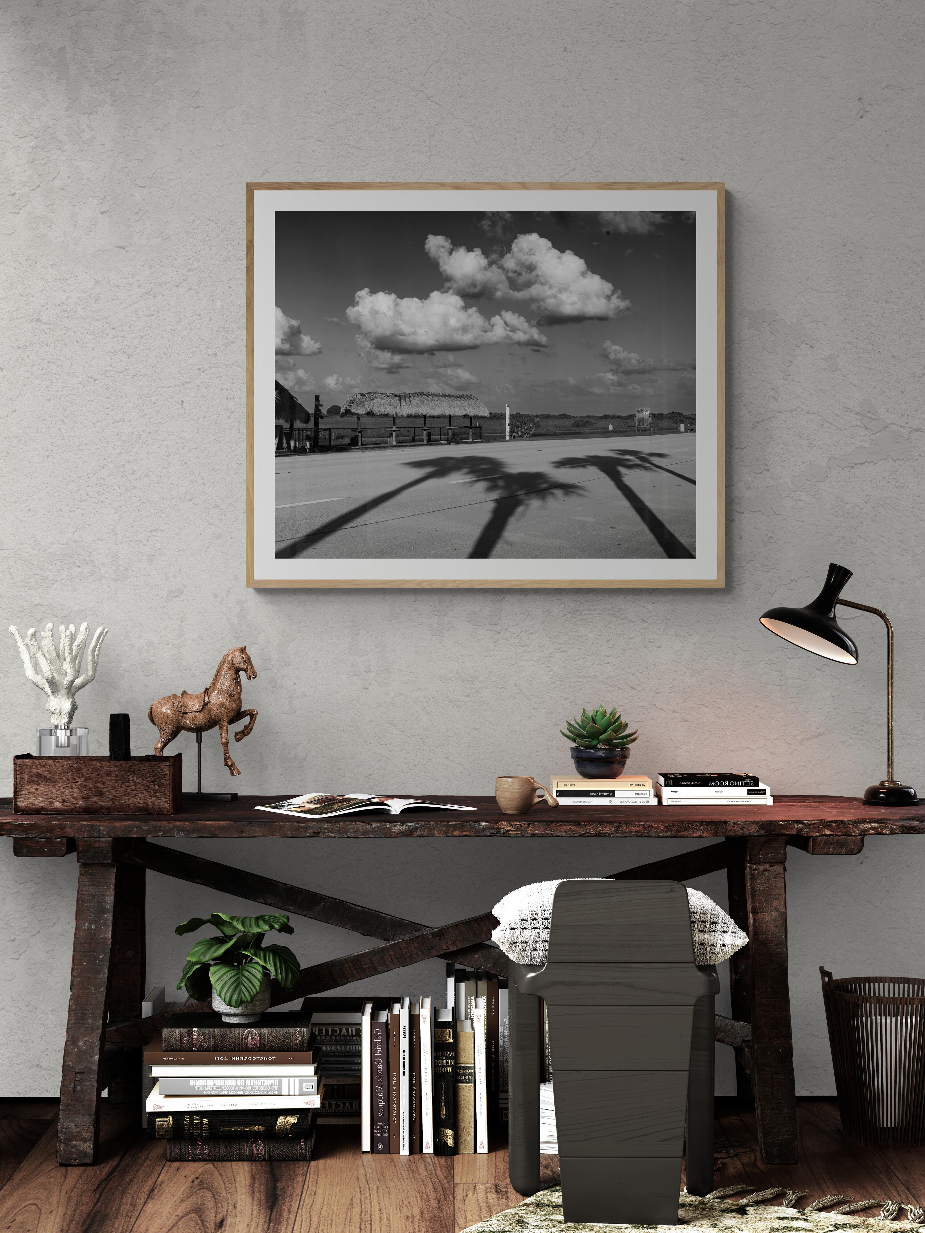  Schwarz-Weiß-Fotografie in limitierter Auflage – „ Highway Palms“ 30 x 40 (Zeitgenössisch), Photograph, von Howard Lewis