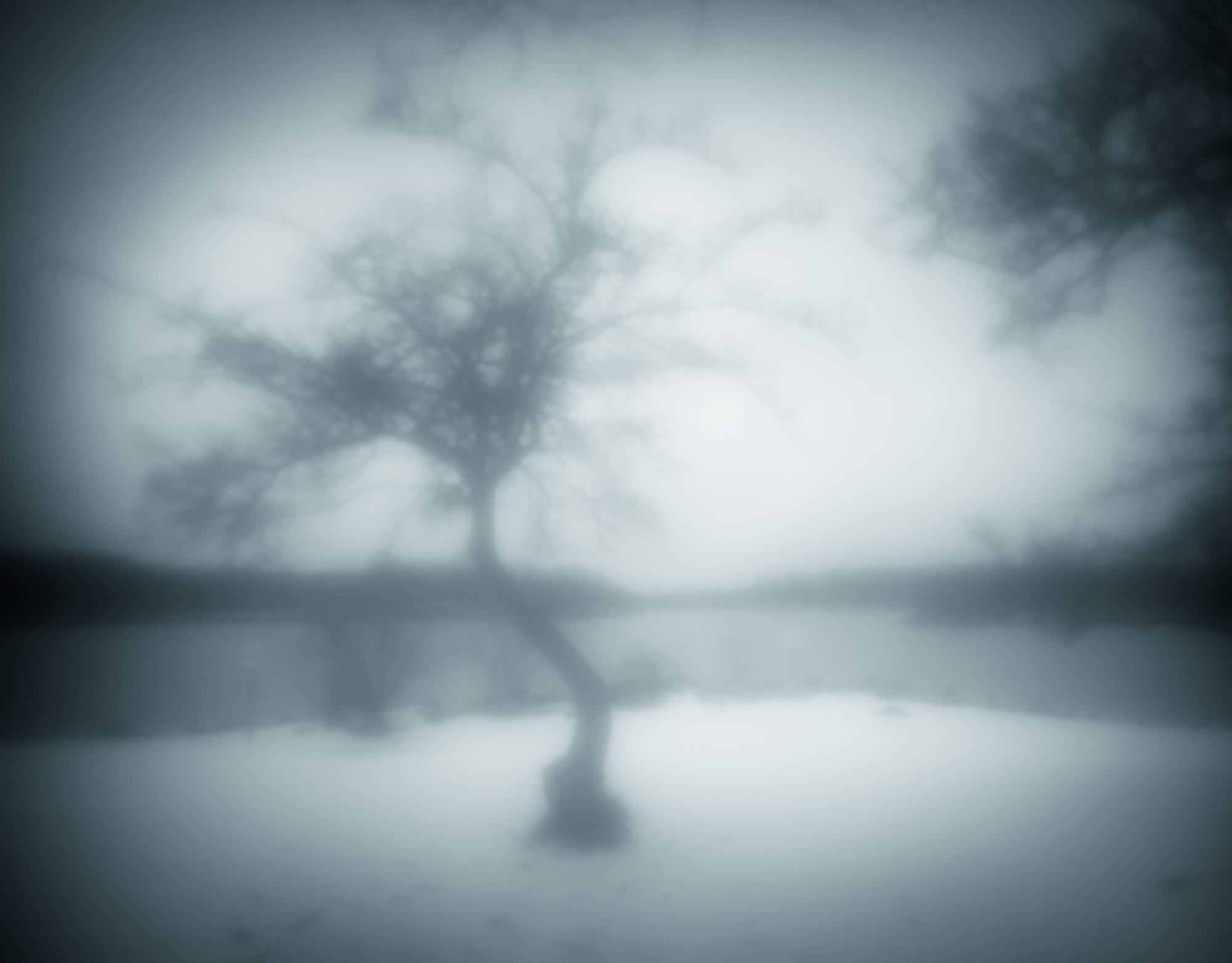 Limited edition black and white cool tone photograph on archival pigment print. A dreamy ethereal photograph made in the winter of 2021 on the edge of a frozen lake. "One Winter Tree" was taken using a little known in camera technique; an experiment