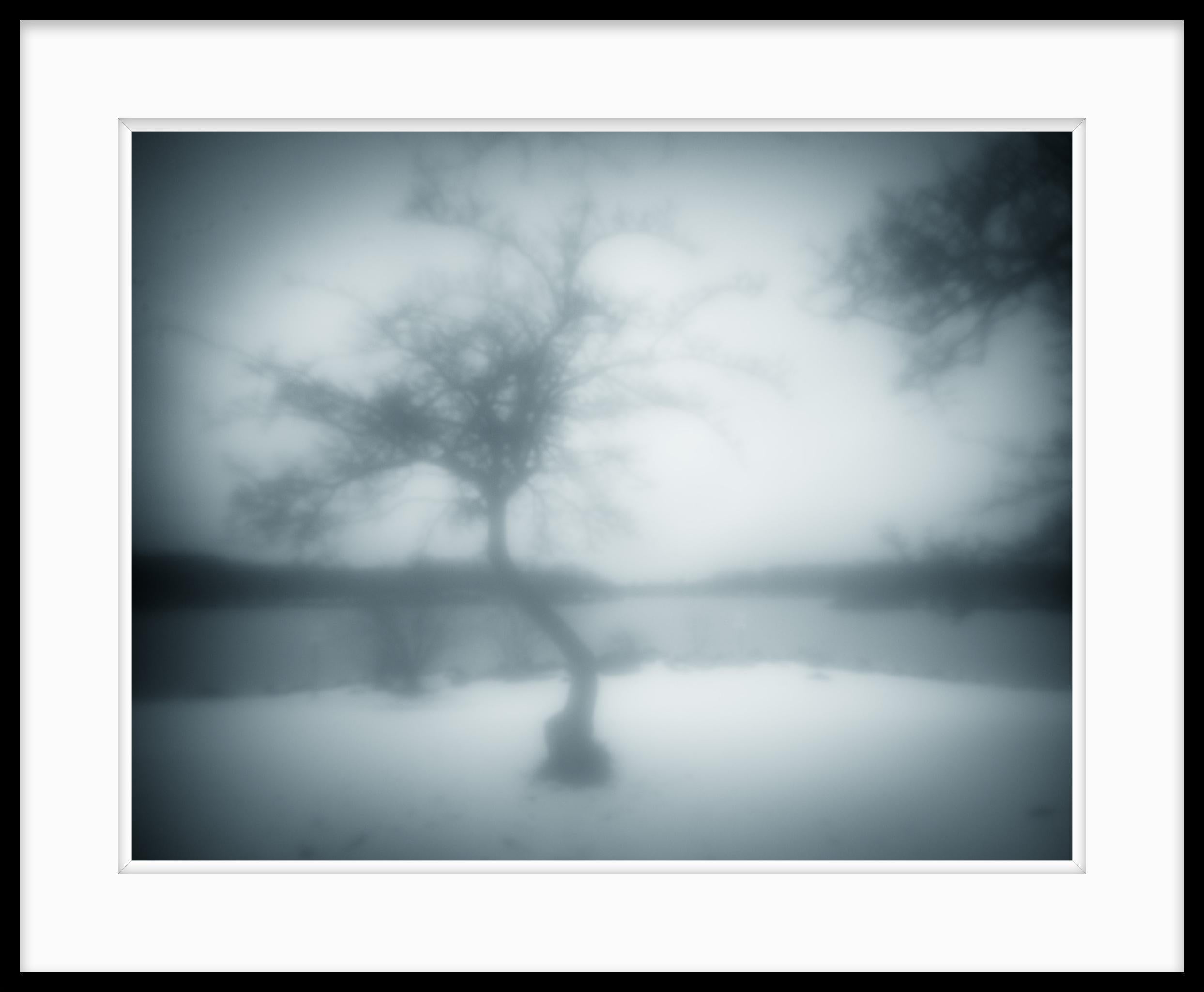 Limited edition black and white cool tone photograph on archival pigment print. A dreamy ethereal photograph made in the winter of 2021 on the edge of a frozen lake. 