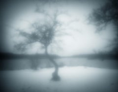 Limitierte Auflage einer Schwarz-Weiß-Fotografie  „Ein Winterbaum“ 20 x 24 Zoll